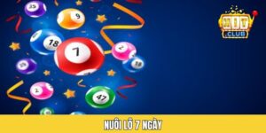 Nuôi Lô 7 Ngày Là Gì Và Chiến Thuật Giúp Chốt Số Thành Công