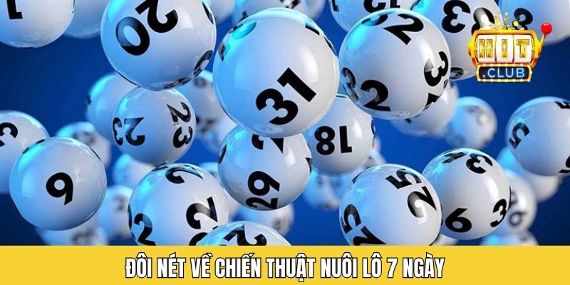 Đôi nét về chiến thuật nuôi lô 7 ngày