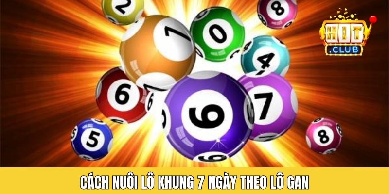 Cách nuôi lô khung 7 ngày theo lô gan