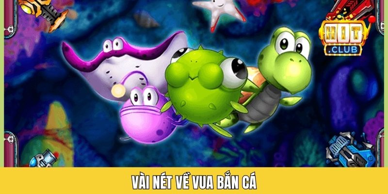 Vài nét về vua bắn cá